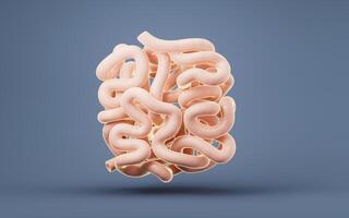 Intestinal tract with digestive health concept, 3d rendering. photo