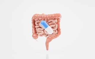 Intestinal tract with digestive health concept, 3d rendering. photo