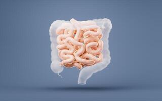 Intestinal tract with digestive health concept, 3d rendering. photo