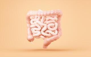 Intestinal tract with digestive health concept, 3d rendering. photo