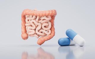 Intestinal tract with digestive health concept, 3d rendering. photo