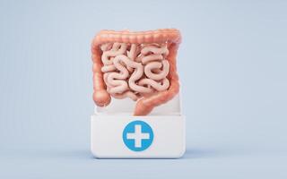 Intestinal tract with digestive health concept, 3d rendering. photo