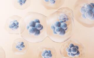 Mitosis of cells with biotechnology concept, 3d rendering. photo