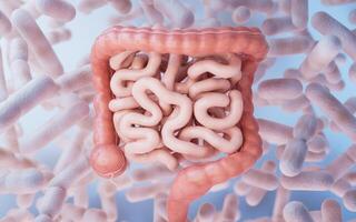 intestinal tracto con digestivo salud concepto, 3d representación. foto