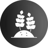 Wheat Solid black Icon vector