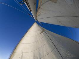 old sails of sailboat view from the bottom with fisheye photo