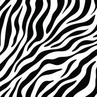 Trendy zebra skin pattern background vector. Black and White Line Wave Abstract Background. vector