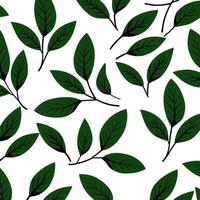 Illustration of a pattern of green leaves on a white background. vector