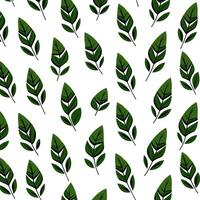 Illustration of a pattern of green leaves on a white background. vector