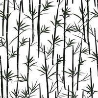 Bamboo Seamless Vertical Border on white background, Seamless pattern of green bamboo stalks. vector