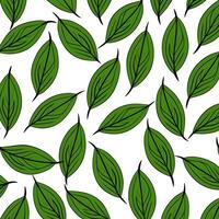 Illustration of a pattern of green leaves on a white background. vector