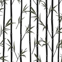 Bamboo Seamless Vertical Border on white background, Seamless pattern of green bamboo stalks. vector