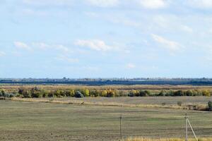 plowed field in the spring in the village. Agricultural land in the Kuban. Preparation of fields for sowing wheat. photo