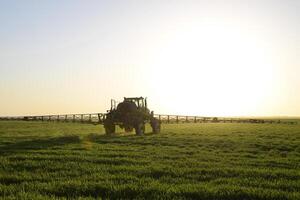 Tractor on the sunset background. Tractor with high wheels is making fertilizer on young wheat. The use of finely dispersed spray chemicals photo