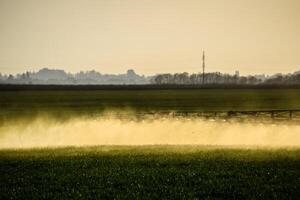 Jets of liquid fertilizer from the tractor sprayer. photo