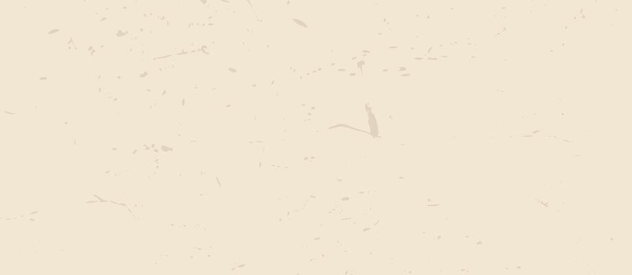 Paper Texture Background Vector Art, Icons, and Graphics for Free Download
