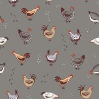 Chicken domestic animals vector seamless pattern.