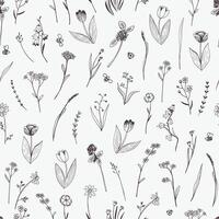 Spring flowers vector line seamless pattern.