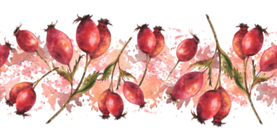 Branch of wild rosehips with red briar fruits, dog rose green leaves on watercolor stains splashes background Seamless border, pattern Hand drawn illustration for wallpaper, wrapping, fabric Isolated png