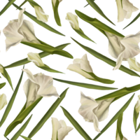 Gladiolus seamless pattern Hand drawn watercolor digital illustration of white flowers and leaves. png