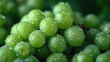 AI generated A cluster of fresh green grapes, an artistic arrangement for aesthetic appeal. Grapes background. photo