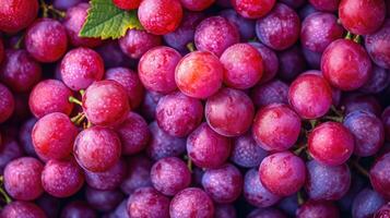 AI generated Red Grapes background. Neatly arranged clusters of red grapes, an artistic arrangement to highlight the color and beauty. photo