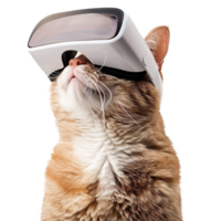 ai gerado sorridente gato dentro virtual realidade copos, fofa animal bandeira modelo png