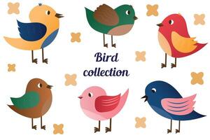 Set of spring birds. Vector cartoon illustration in childish style. Different birds. Images are isolated on white.