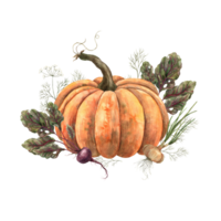 Watercolor pumpkin with green beets and onions. Hand-drawn botanical illustrations on an isolated background. For the autumn harvest festival or Halloween. Can be used in printing design. png