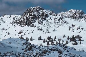 Cold Sunny Day in Lebanese Mountains photo