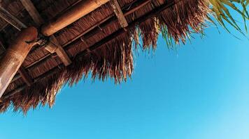 Dry thatched buildings on the beach photo