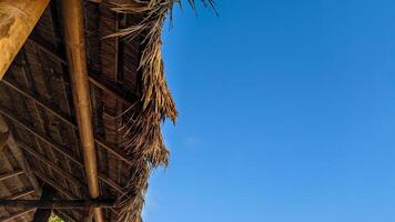 seco tejado de paja edificios en el playa foto