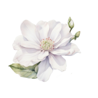 AI generated Watercolor flower, flower, Ai Generated png