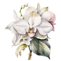 AI generated Watercolor flower, flower, Ai Generated png