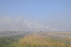 Landscape burning field. The burning of rice straw in the fields. Rice paddies photo