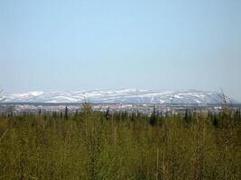 Forest tundra landscape in the summer. Taiga of Siberia. Yamal. photo