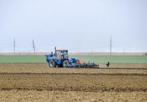 lozano y aflojar el suelo en el campo antes de siembra. el tractor arados un campo con un arado foto