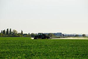 tractor with the help of a sprayer sprays liquid fertilizers on young wheat in the field. photo