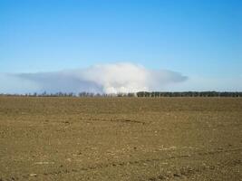 A pillar of smoke from burning rice straw on the field. photo