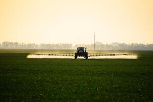 tractor with the help of a sprayer sprays liquid fertilizers on young wheat in the field. photo