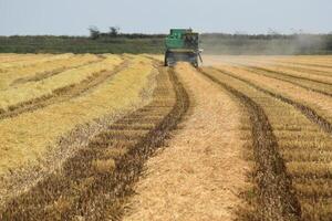 Combine harvesters Don. Agricultural machinery. photo