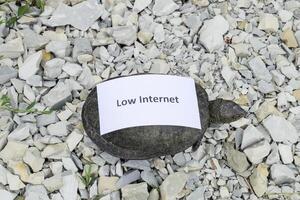 bajo Internet. un malo Internet símbolo. bajo descargar velocidad. lento Internet. ordinario río tortuga de templado latitudes. el tortuga es un antiguo reptil. foto