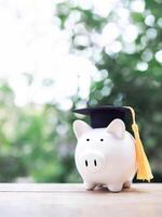 cerdito banco con graduación sombrero. el concepto de ahorro dinero para educación, estudiante préstamo, beca, matrícula Tarifa en futuro foto