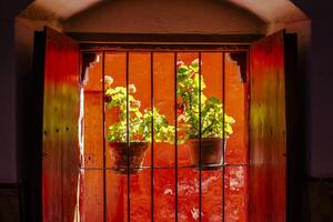 2023 8 15 Peru balcony with geraniums 1 photo