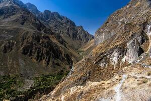 2023 8 16 Peru canyon del Colca 24 photo