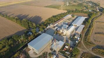 arroz planta. hangar para almacenamiento de grano. un plataforma para el secado y sinterizado grano. cosechado grano foto