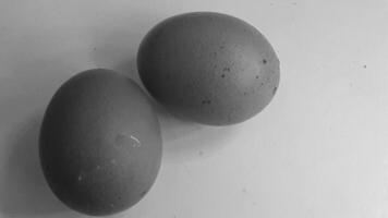 picture of 2 chicken eggs photo