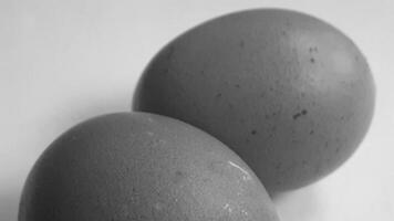 picture of 2 chicken eggs photo