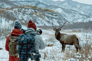 AI generated Tourists capturing an elk in winter. Generative AI. photo