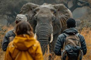 AI generated Tourists close encounter with an African elephant. Generative AI. photo